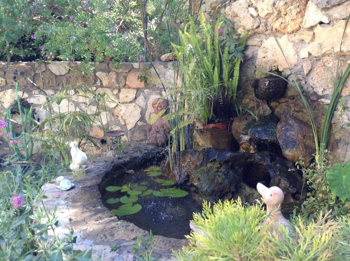 Olive House Traditional Villa With Pool Sitía Extérieur photo