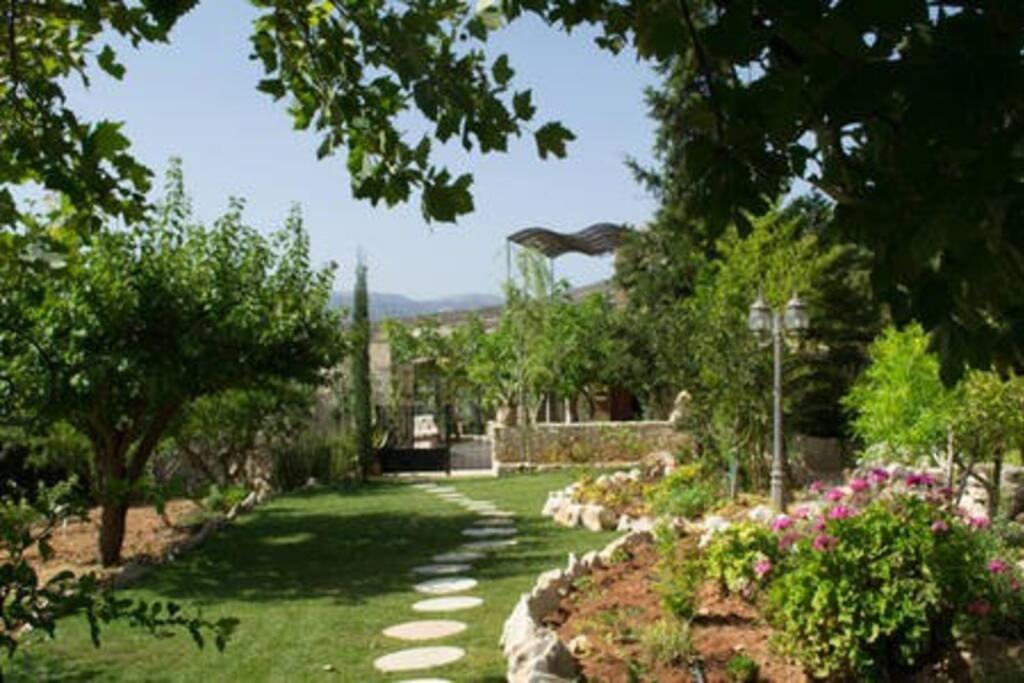 Olive House Traditional Villa With Pool Sitía Extérieur photo